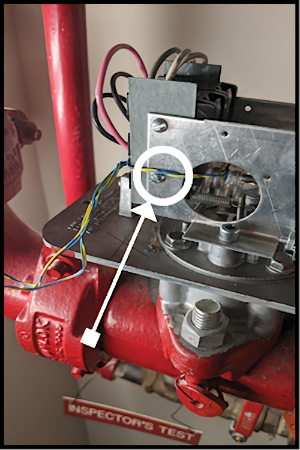 Stem C3 Wire used to hold down the stem